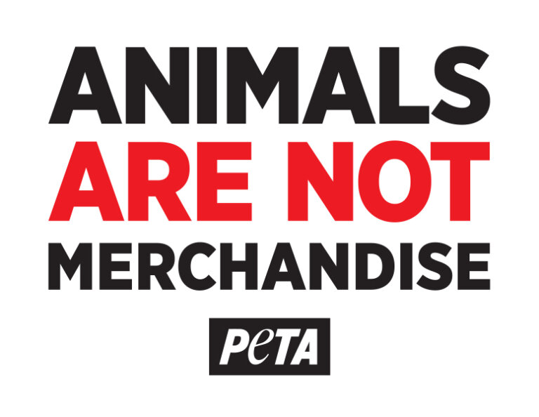 animals-aren-t-ours-to-buy-animals-are-not-merchandise-demo-poster