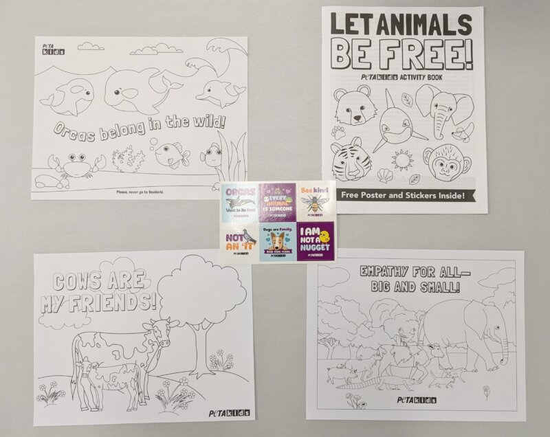 STU005 Let Animals Be Free Coloring Kit