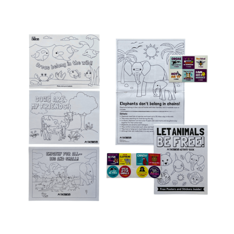 Let Animals Be Free Coloring Kit