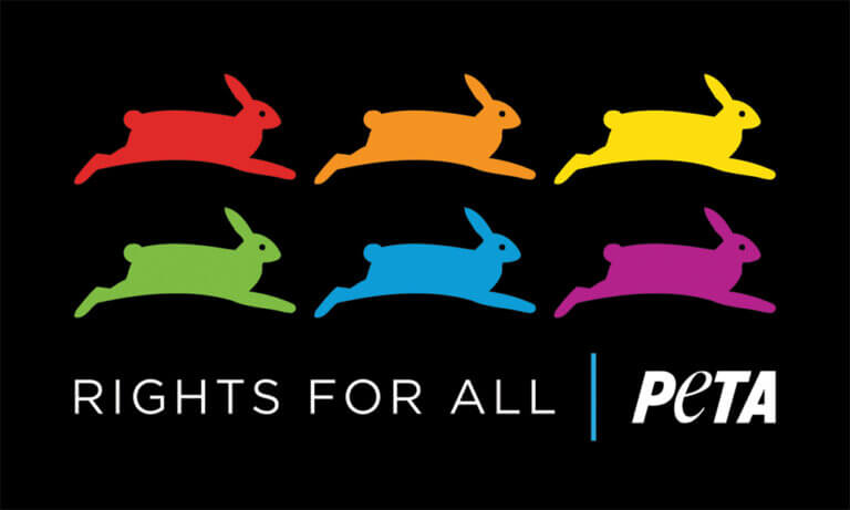 pride-rights-for-all-sticker-peta-literature